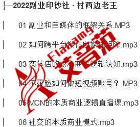 [MP3课程][百度云]村西边老王《2022副业印钞社》网盘下载-艾音范